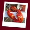 Full Service Restaurant Food Safety