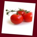 Tomato Food Poisoning