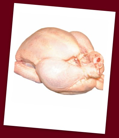 Chicken Food Safety