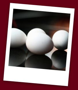 Egg Food Safety