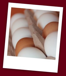 Egg Food Safety